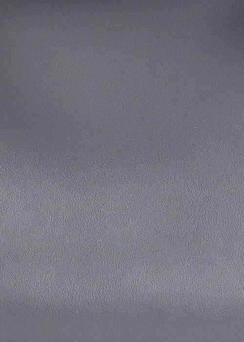 Le Tanneur